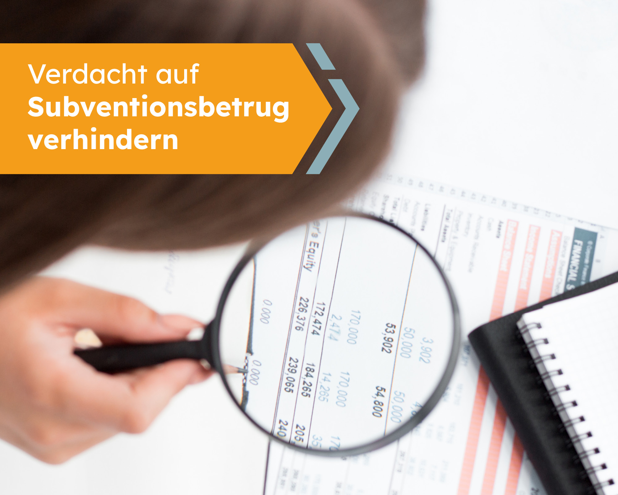 Verdacht auf Subventionsbetrug verhindern Verdacht auf Subventionsbetrug verhindern